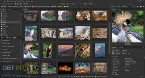 Adobe-Bridge-2024-Latest-Version-Free-Download-GetintoPC.com_.jpg 